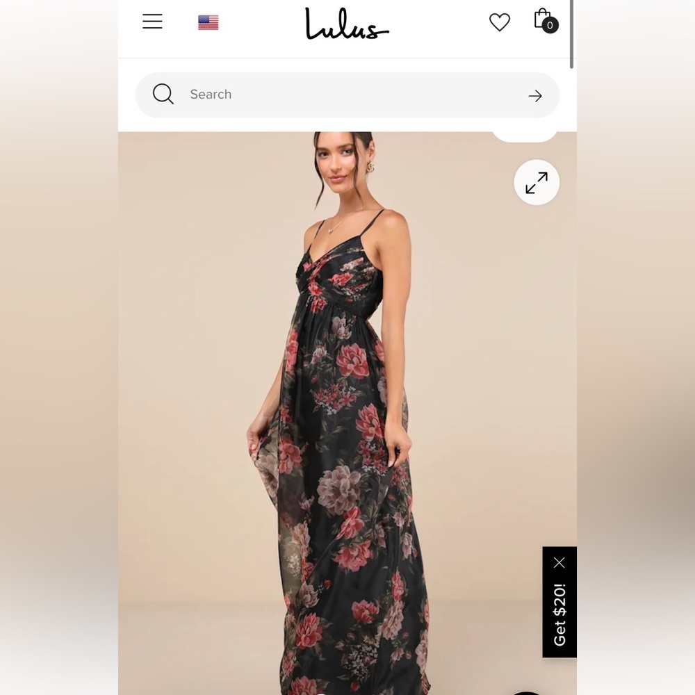 Lulus Truly Extraordinary Black Floral Organza Pleated Maxi Dress NWT